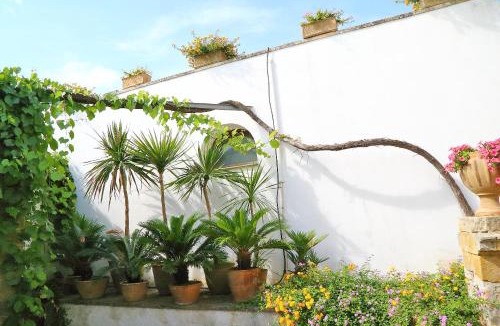 Marittima Bed & Breakfast | Trappitu dei Settimi