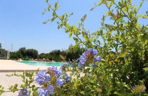 Ostuni House | Trullo Il Melograno