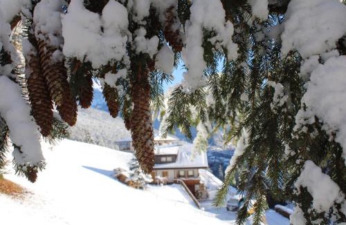 Castelrotto House | Untertalhof