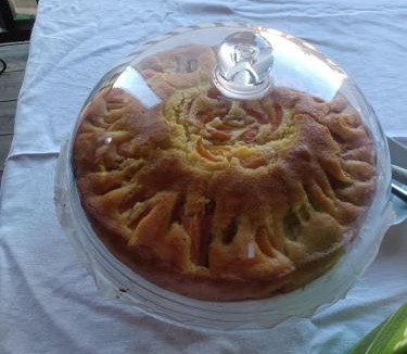 Guardabosone Bed & Breakfast | Villa Erbetta
