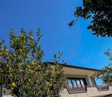 Eboli Villa | Villa il Profumo degli Aranci
