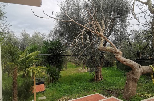 Montincello Apartment | Villa soleil