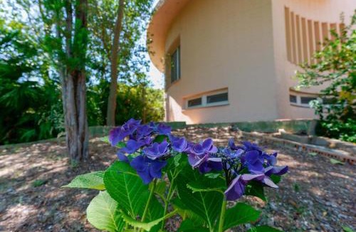 Poggio dei Pini Bed & Breakfast | Villa Zola