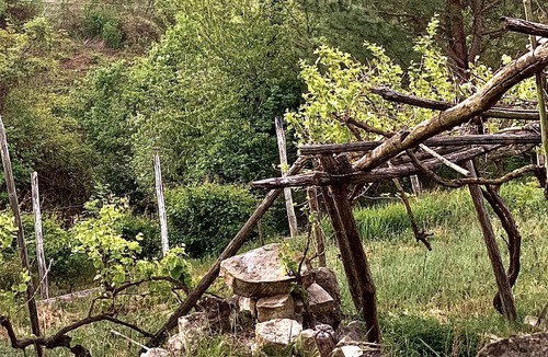Monesiglio House | Vrbo Property