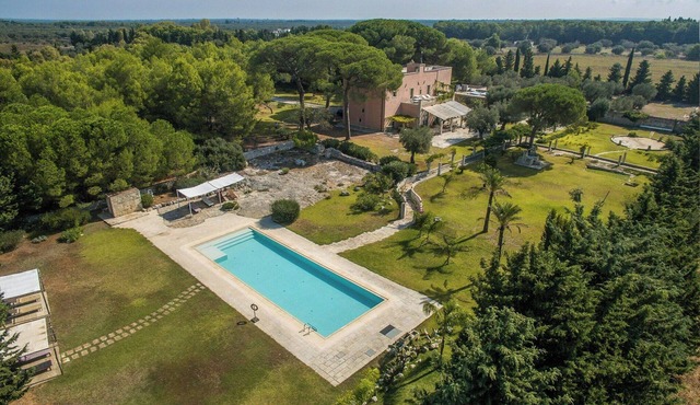 1800s farmhouse with pool among olive trees