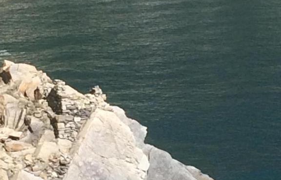 a due passi dal mare