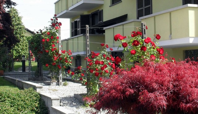 Albergo Residence Isotta