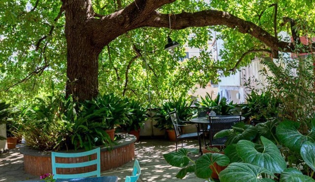 An apartment surrounded by enveloping nature just a few steps from the sea