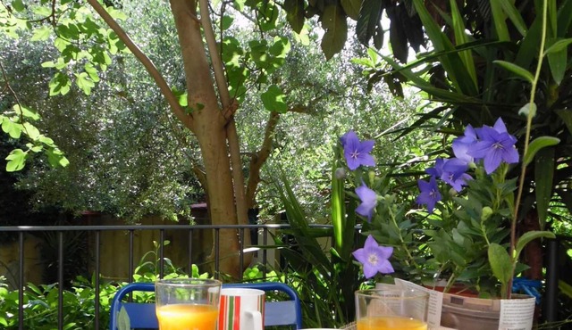 Apartment with garden near the historic center