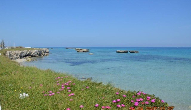B&B Il Geranio