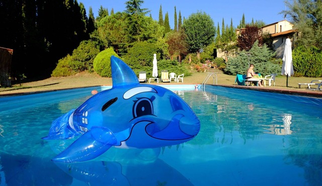 Beautiful apartment for 4 guests with pool, WIFI, TV, patio and pets allowed, close to San Gimig.