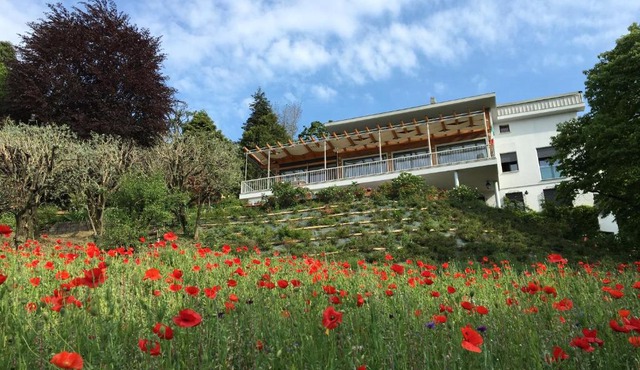 Bed and Breakfast Admiramini