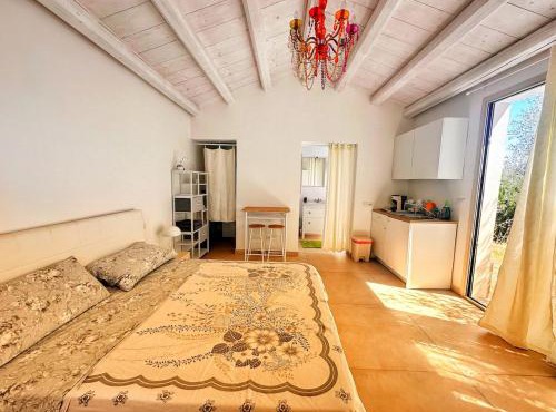 Carrubbella la casa dell olivo