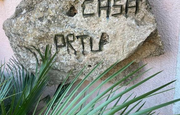 Casa Ortu