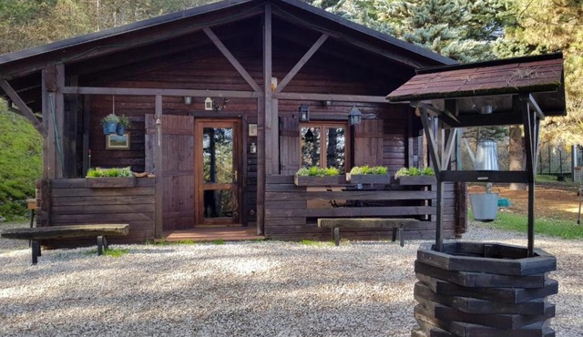 Casa vacanza Chalet Baita Nel Bosco