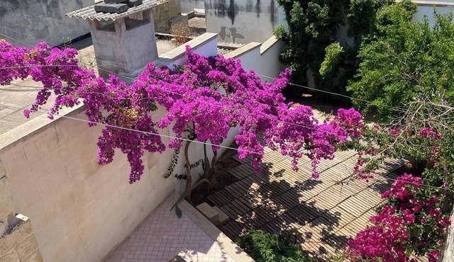 Celi Blu - One Bedroom Apartment, Sleeps 3