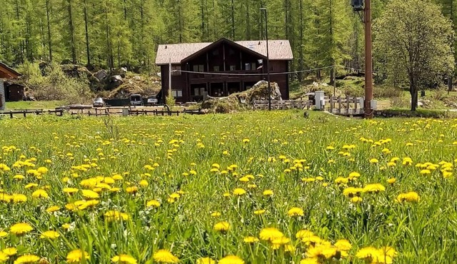 Chalet Rosa dei Monti