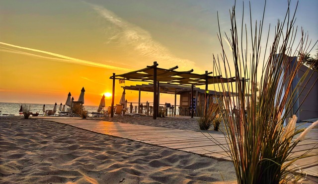 Csa Hotel Beach & Park