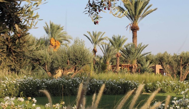 DarToozween, chic and comfortable farmhouse in the Marrakech countryside