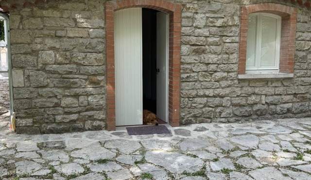 Dependance Dafne is a refined retreat nestled in the quietness of nature