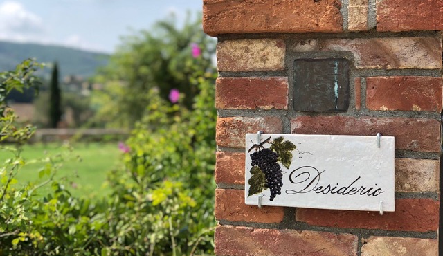 Desiderio, luxury home with pool AC, WIFI and cook school - A Fontanaro Property