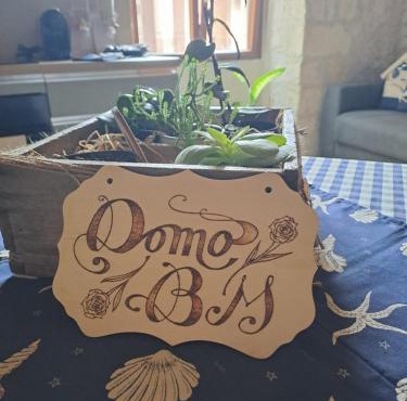 Domo BM
