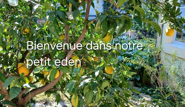 GRAND STUDIO CLIMATISE, INDEPENDANT DANS VILLA AVEC JARDIN, Tranquility assured