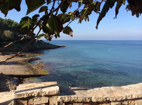 Guest House - La Sirena Salentina