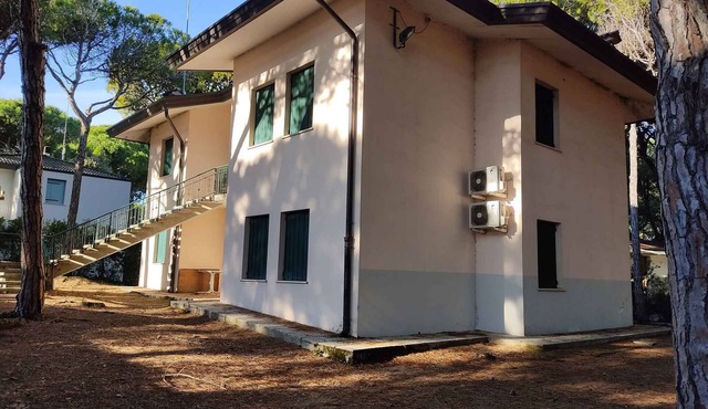 Holiday apartment in a four-family house in a pine forest