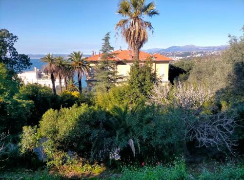 L'Essentiel à Nice