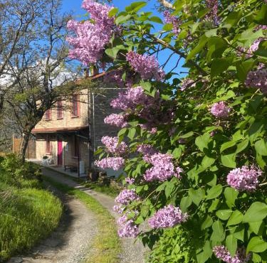 La Lupa e l'Orso B&B