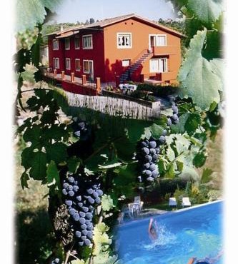 La Vignola