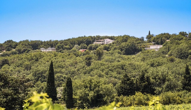 Les Hauts d'Avignon - Guesthouse - Room 2