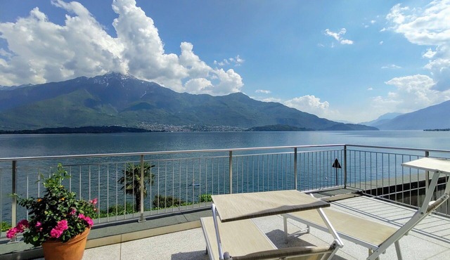 Lovely apartment for 4 people with A/C, WIFI, TV, terrace and pets allowed