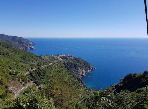 Menta Cinque Terre
