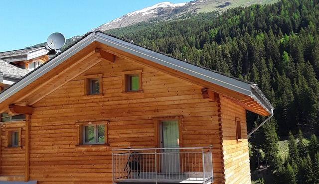 Mountain View Apartment