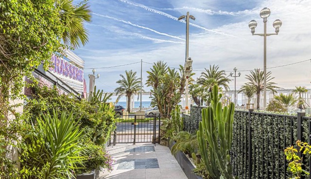 MY CASA - SQUARE ROYAL