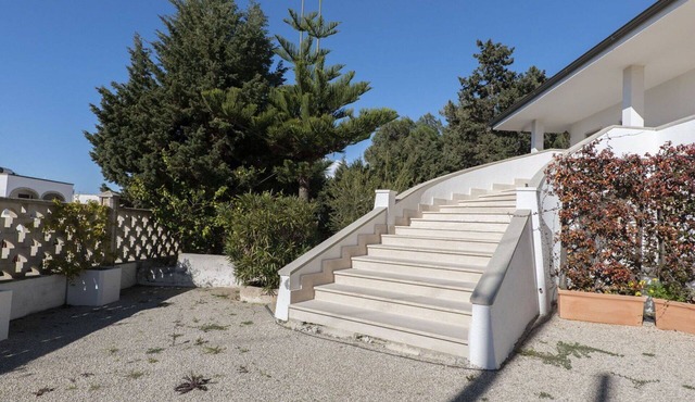 Nice apartment for 8 guests with A/C, TV, terrace and pets allowed