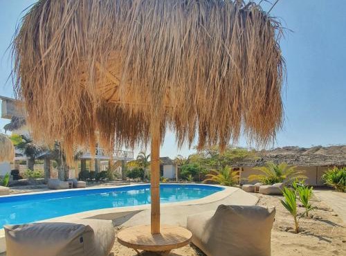 Oasis de Vichayito