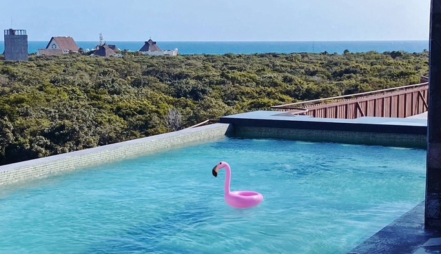 Oceanview Rooftop 1BD Apart Patio Jacuzzi