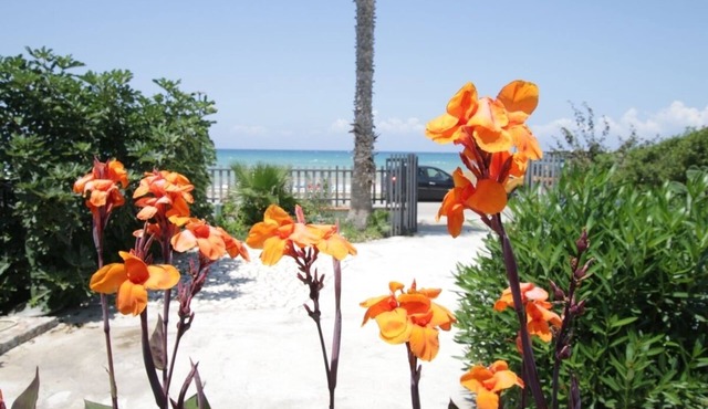 Only 20 METERS from the BEACH! Walking