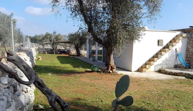 Open space in a portion of pajara near the sea