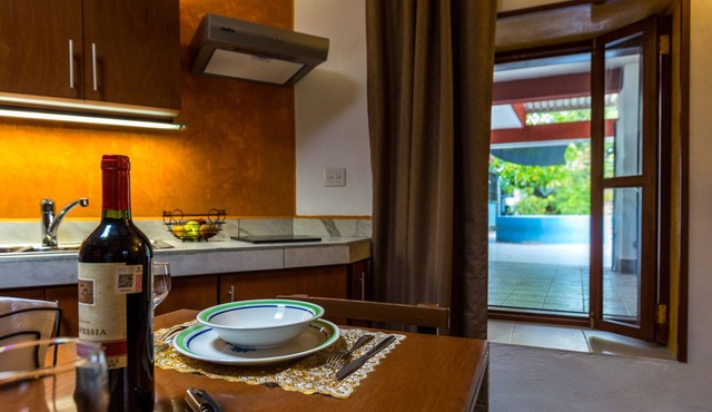 Plunge pool view! studio w/Netflix, wine cooler, etc. .9 mi. from central sq.