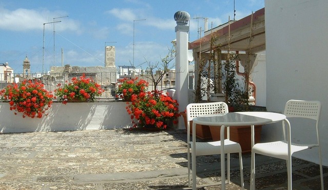Polignano a Mare, Red Flowers house with terrace