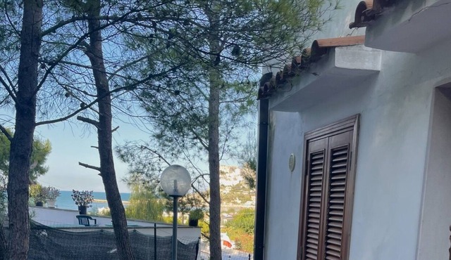 Residence Montepucci