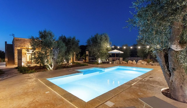 Salento apartment with 2 rooms, pool and ancient olive trees