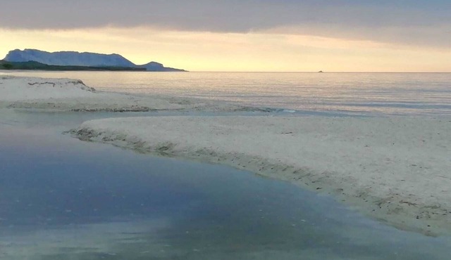 Sardinia! Budoni 1 km from the wonderful beach of Sant'Anna: 4 beds
