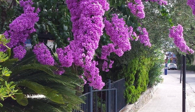 Small villa with garden, parking space, private access to the sea 4 + 2 beds