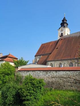 Spitzbart