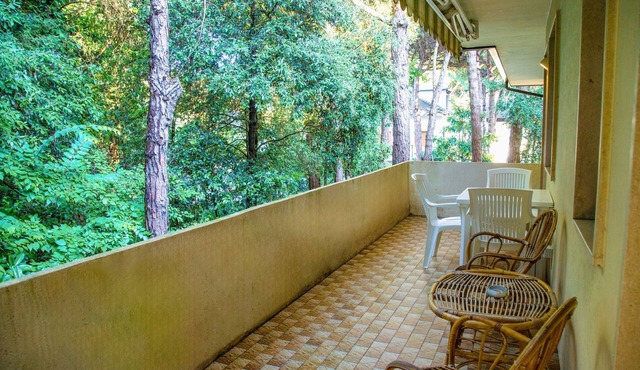 Terrace home by the pinewood
